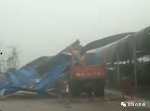 狂风暴雨爆料视频大全集,视频大全集深度解析 第3张 狂风暴雨爆料视频大全集,视频大全集深度解析 第3张