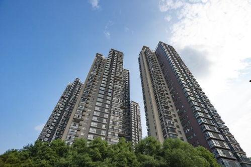 乐山楼市爆料新闻视频 第1张 乐山楼市爆料新闻视频 第1张