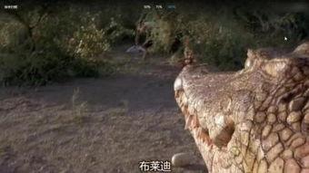 鳄鱼电影在线观看,在线惊悚之旅 第3张 鳄鱼电影在线观看,在线惊悚之旅 第3张